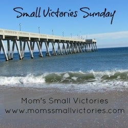 small victories sunday