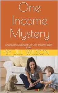 one income mystery