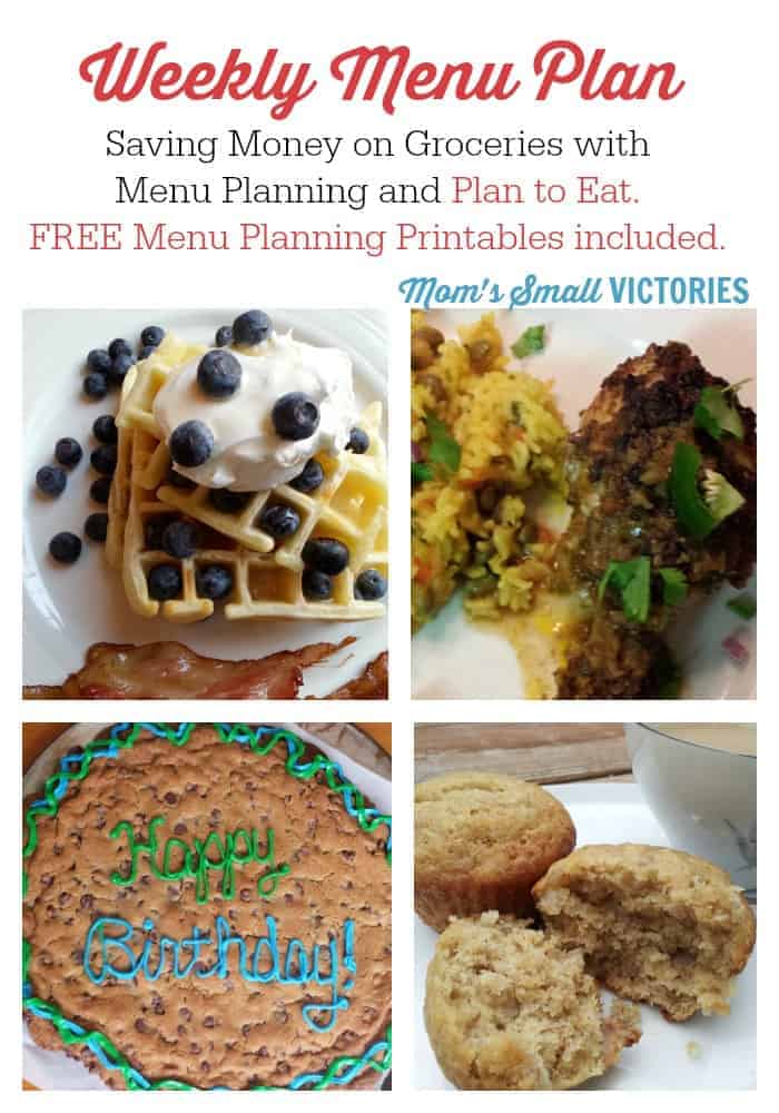 Menu Planning helps me cook healthy, delicious meals for our family and saves us a ton of money on groceries. Check out what's cookin' this week!