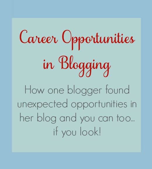Be Our Guest Fridays {43}: Career Opportunities in Blogging from The Book Wheel