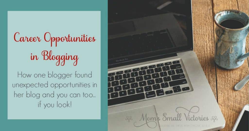 Career Opportunities in Blogging. How one blogger found unexpected opportunities in her blog and you can too...if you look!