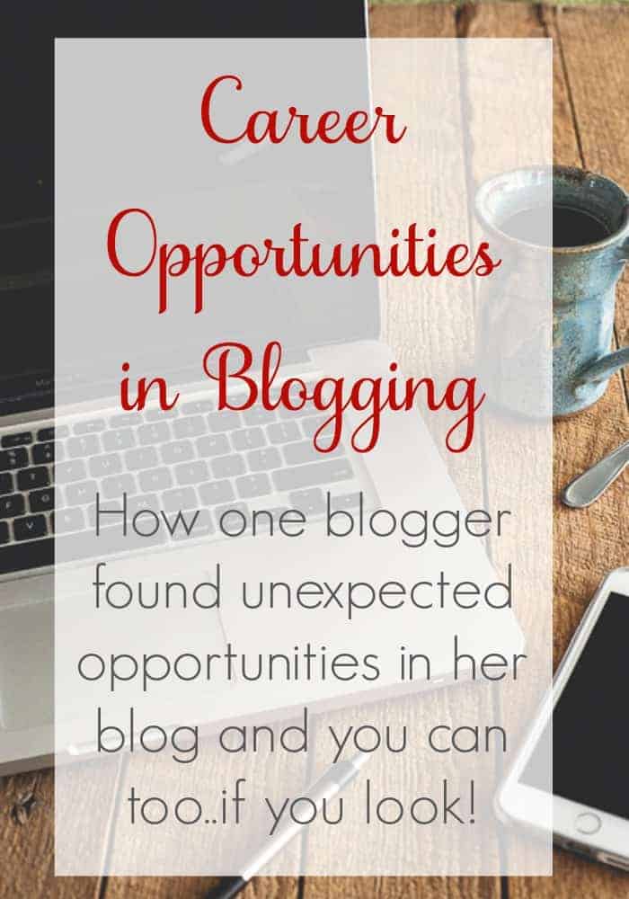 Career Opportunities in Blogging. How one blogger found unexpected opportunities in her blog and you can too...if you look! 