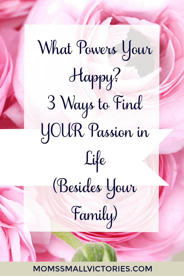 What Powers Your Happy? 3 Ways to Find YOUR Passion in Life (Besides Your Family). As busy moms, we often put our family's needs first and lose sight of what we are passionate about. Use these tips to unlock your passion in life and become a happier and healthier center of your family.